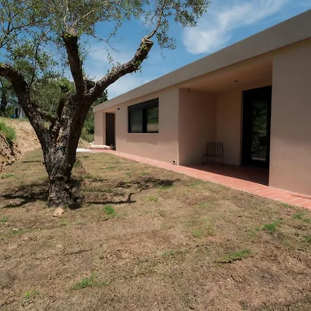 Villa Stalla Tsilivi (Zakynthos)